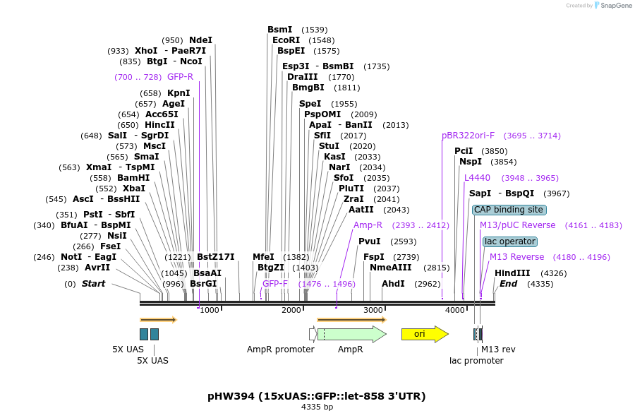 170935_map