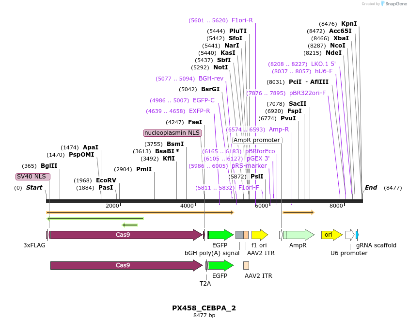 170946_map