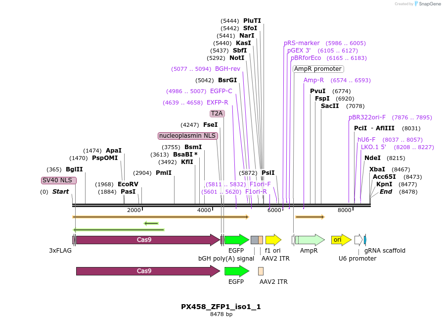 170947_map