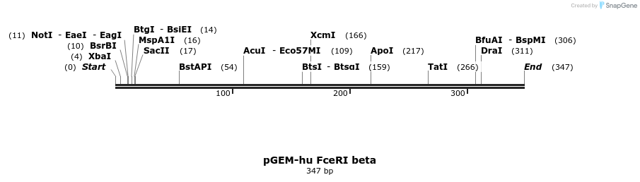 17096_map