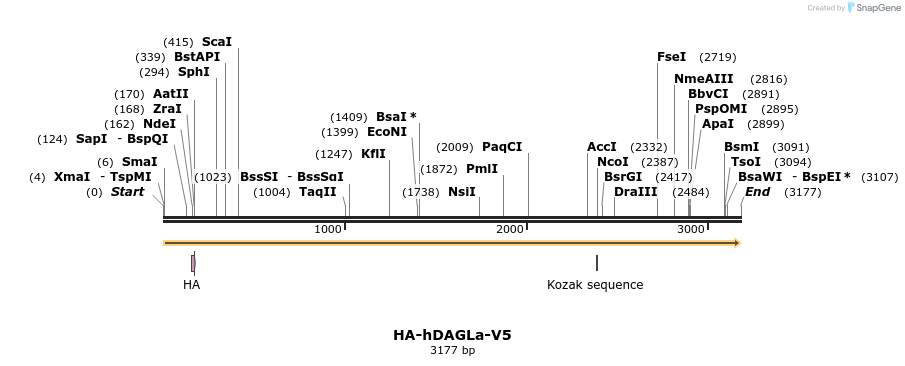 170972_map