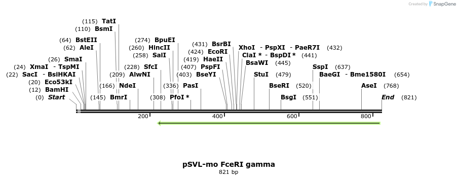 17098_map