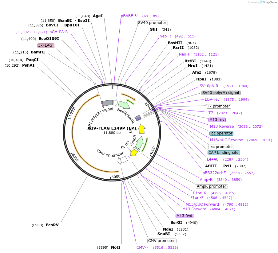 170981_map