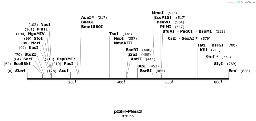 170983_map