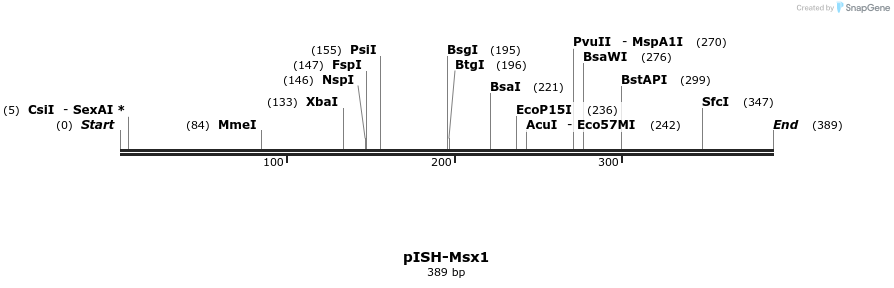 170984_map