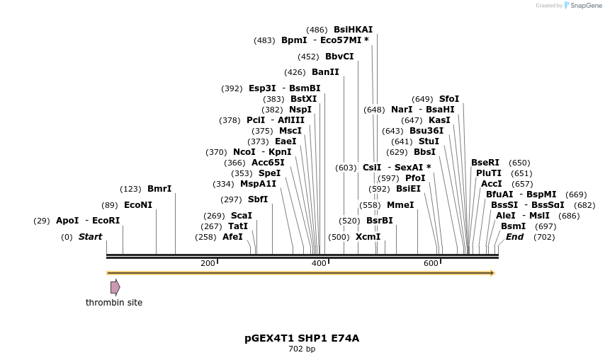 17099_map