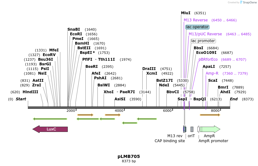170993_map