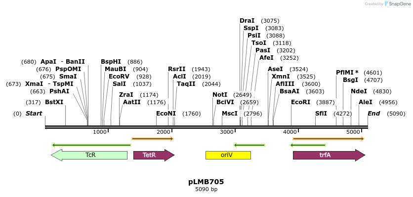 170996_map
