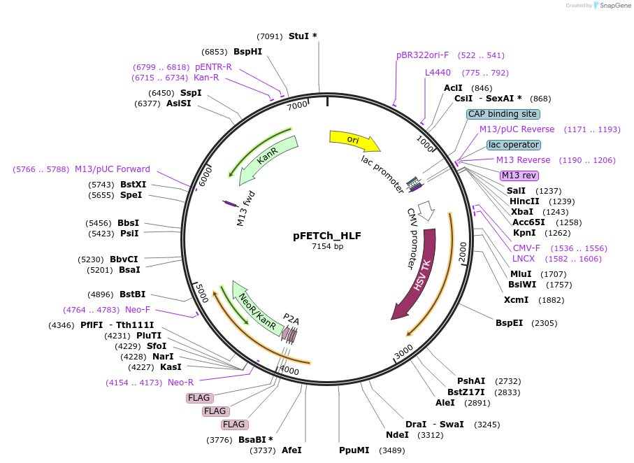 171004_map