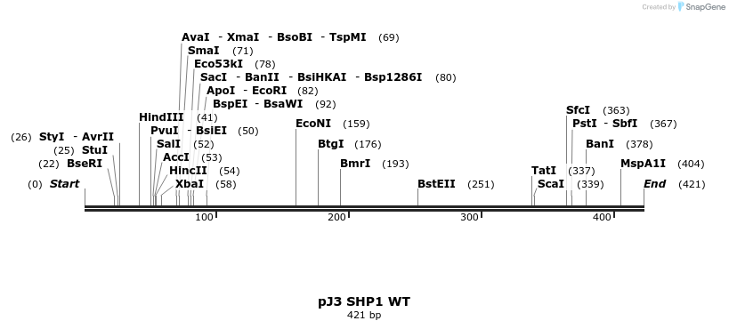 17101_map