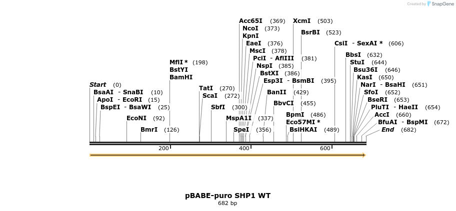 17103_map