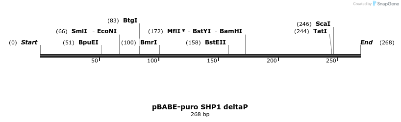17104_map