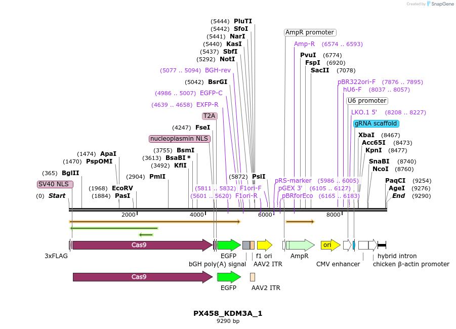 171049_map