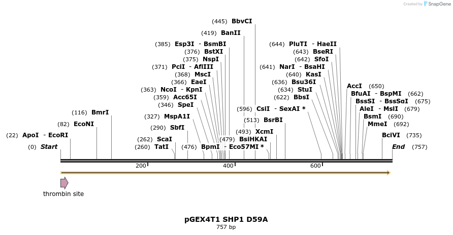 17106_map