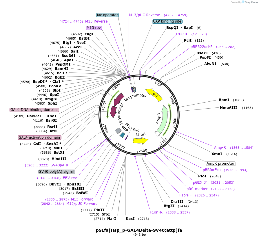 171105_map