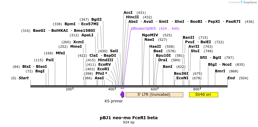 17112_map