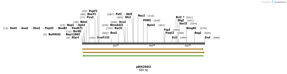 171164_map