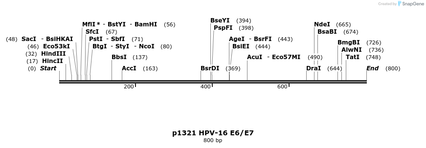 17117_map