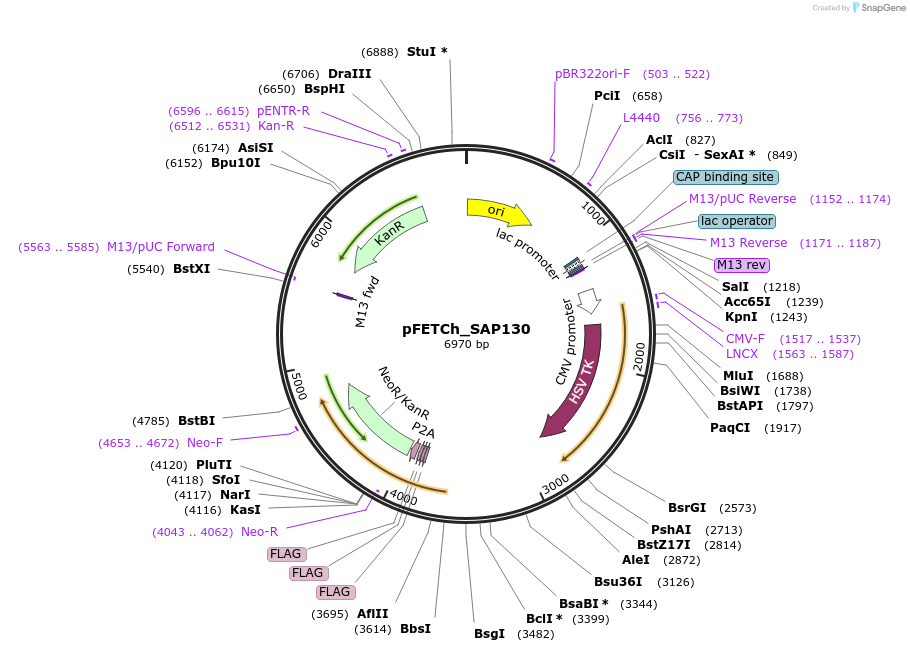 171182_map