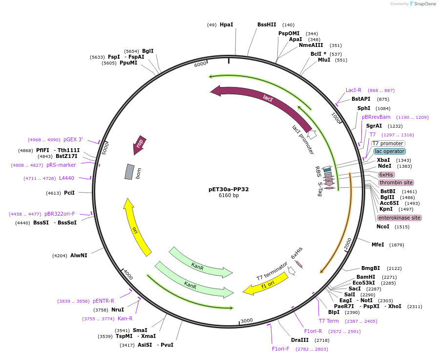 171186_map