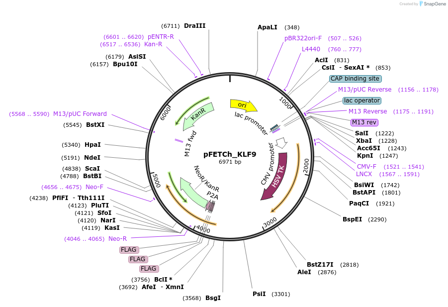 171192_map