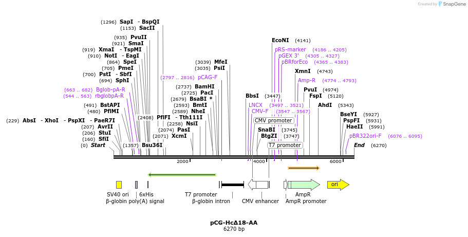 171207_map