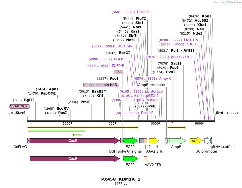171208_map