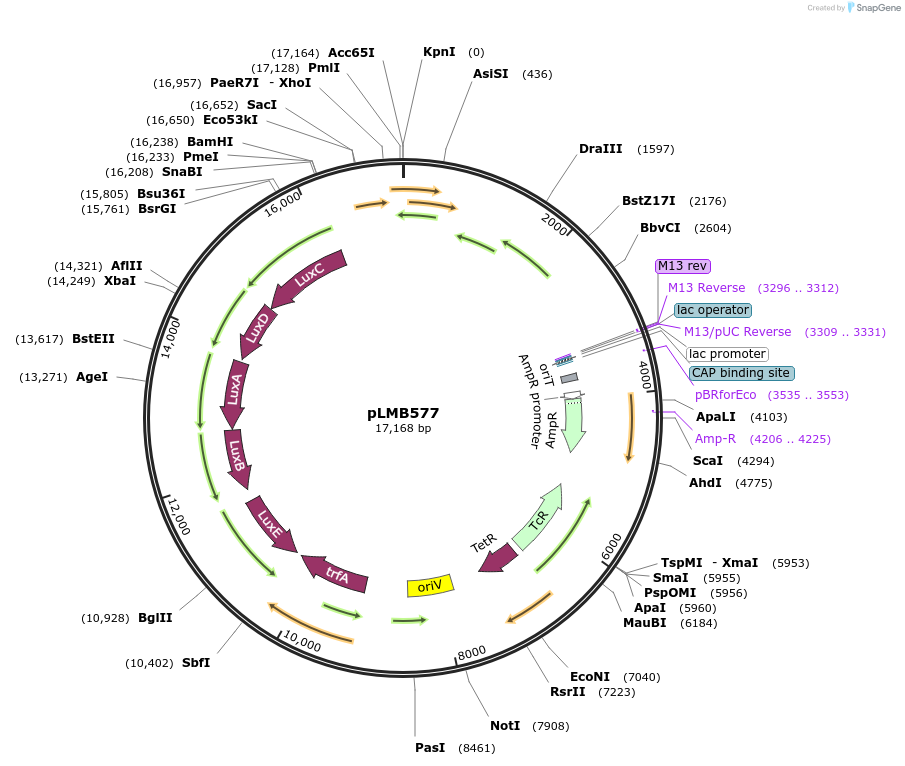 171210_map