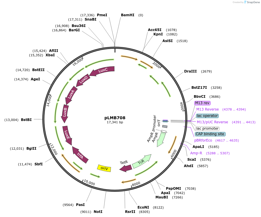 171212_map