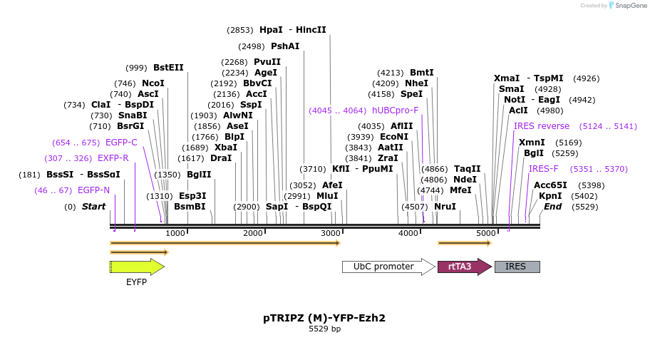 171213_map