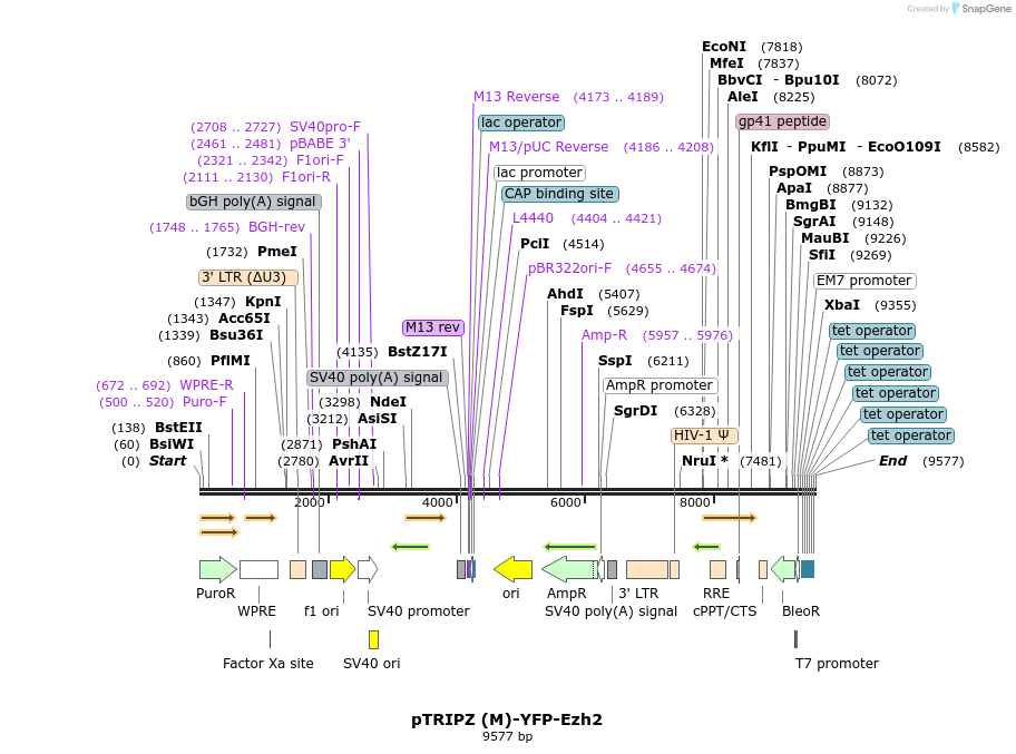 171214_map
