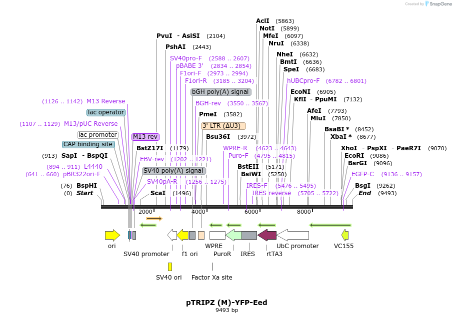 171218_map