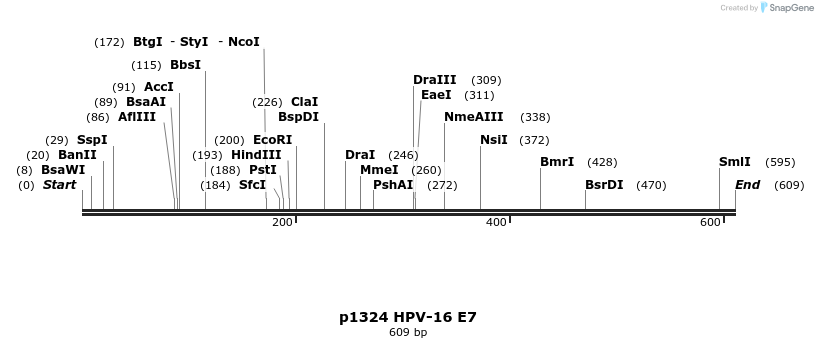 17122_map