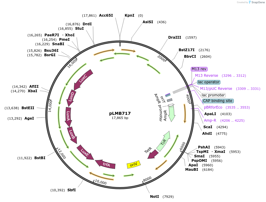 171220_map