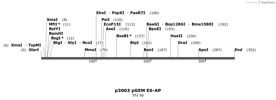 17123_map