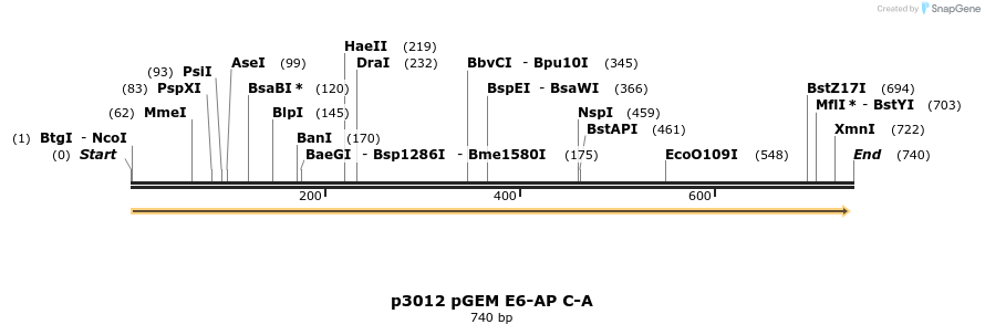 17124_map