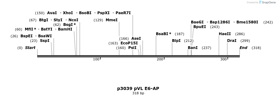 17125_map
