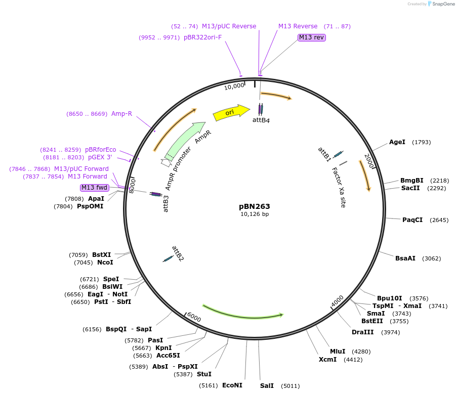 171259_map