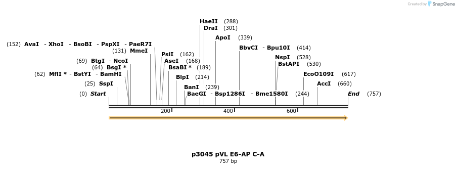 17126_map