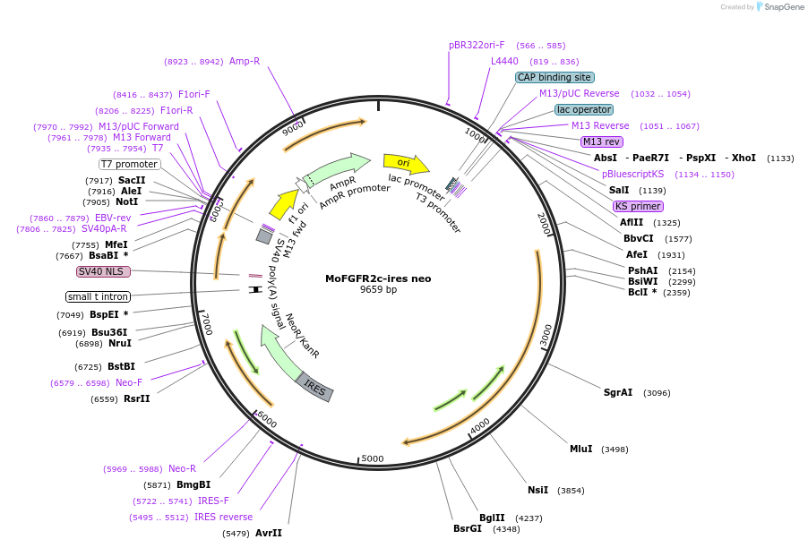 171261_map