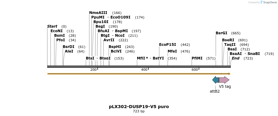 171294_map
