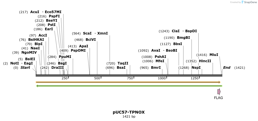 171296_map