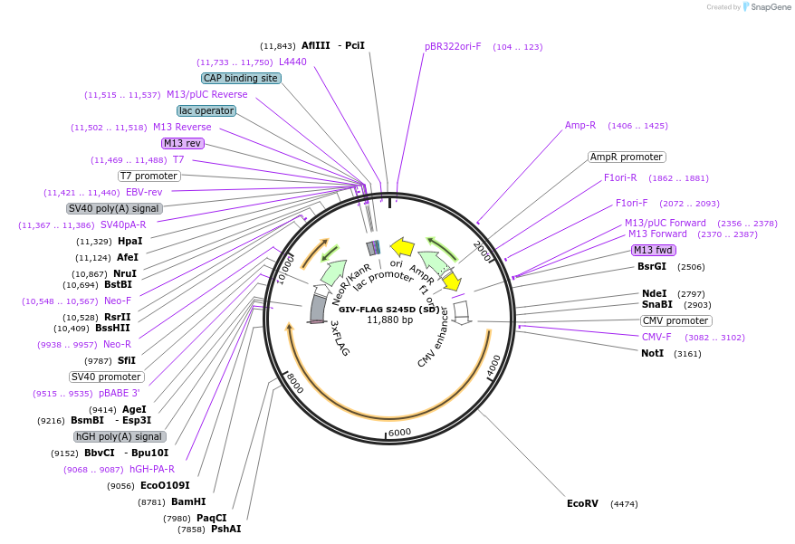 171298_map