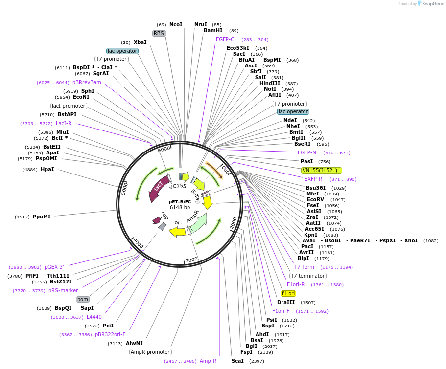 171300_map