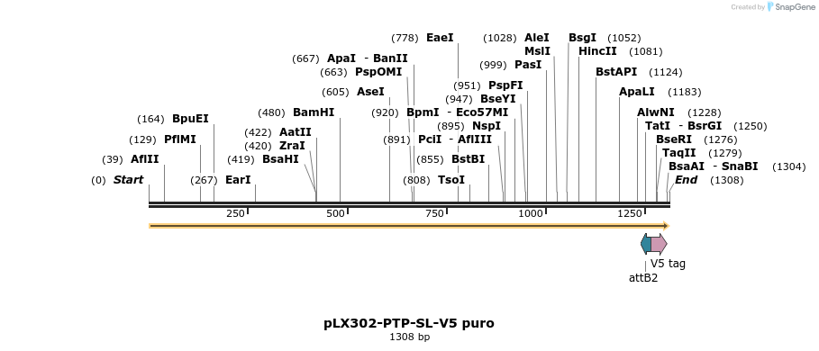 171303_map