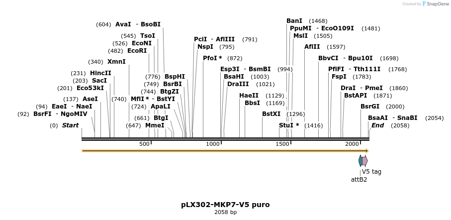 171304_map