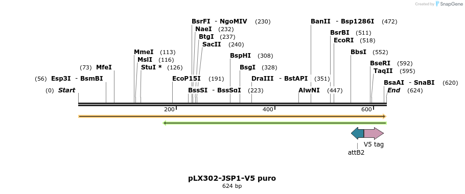 171305_map