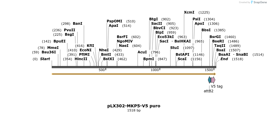 171306_map