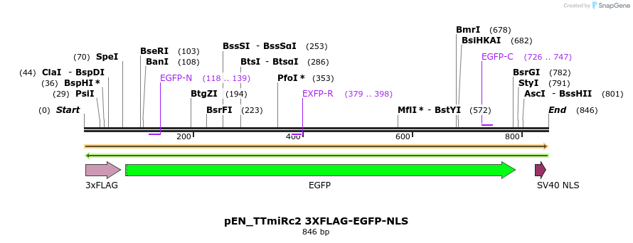171307_map