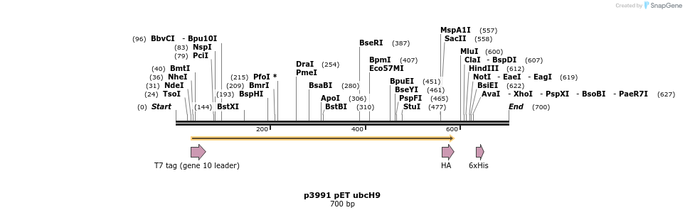 17131_map